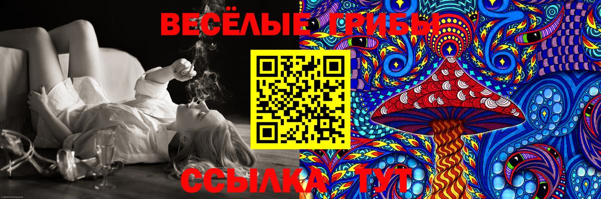 Галлюциногенные грибы ЛСД  Псилоцибиновые грибы MAGIC MUSHROOMS  Славгород  Вход с VPN 